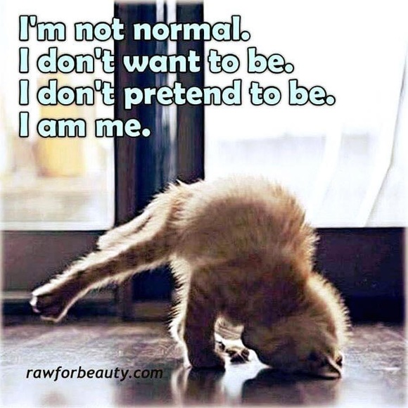 CLOSING TO TRAVEL! - Picture 6 of 9